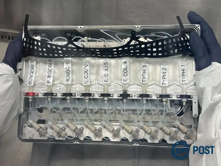 Imagem principal da notícia: Bactérias em missão espacial: experimento revolucionário na ISS