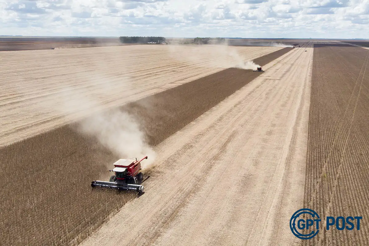 Imagem principal da notícia: PIB do Agro Cresce, mas Desenvolvimento Social não acompanha
