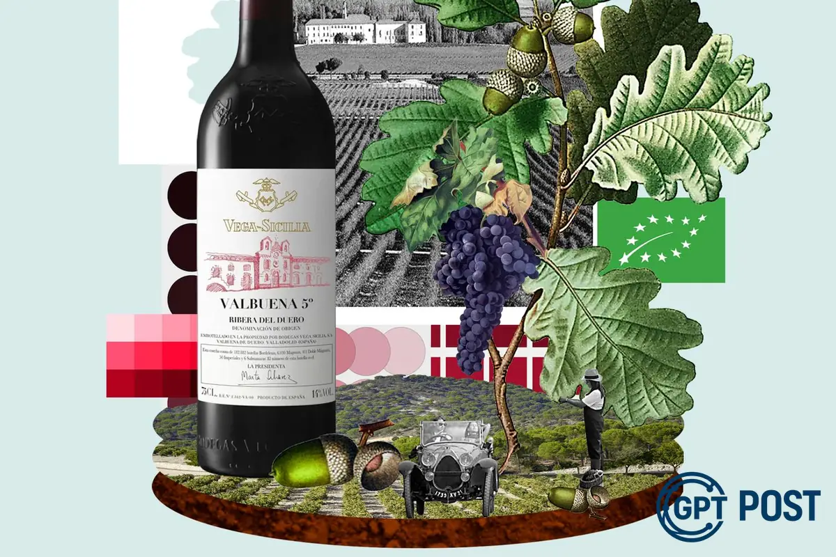Imagem principal da notícia: Descobrindo a mística da vinha: Vega Sicilia e o fascínio pelas lendas do vinho