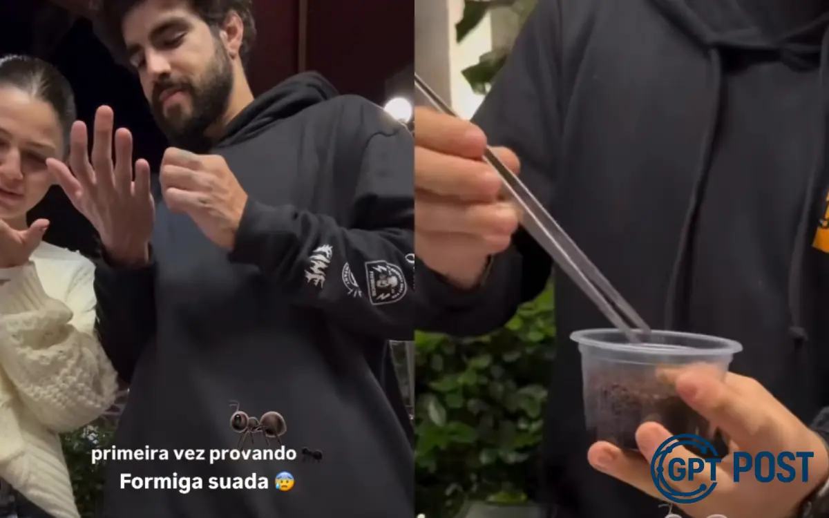 Imagem principal da notícia: Caio Castro e Vítoria Bohm Experimentam Formigas pela Primeira Vez em Prova Inesquecível