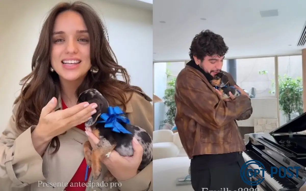 Imagem da notícia recomendada: Rafa Kalimann Presenteia Nattan com Filhote de Cachorro: Um gesto de Amor no Relacionamento dos Famosos
