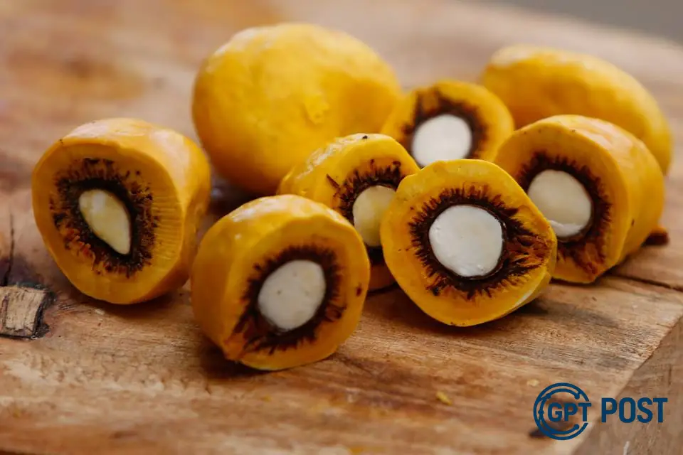 Imagem principal da notícia: Frutos do Cerrado: Descobertas Surpreendentes sobre Sua Nutrição e Saúde