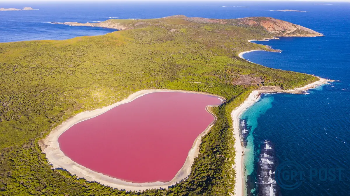 Imagem principal da notícia: Lagoas Rosinhas da Austrália: O Mistério dos Microorganismos que Pintam a Natureza