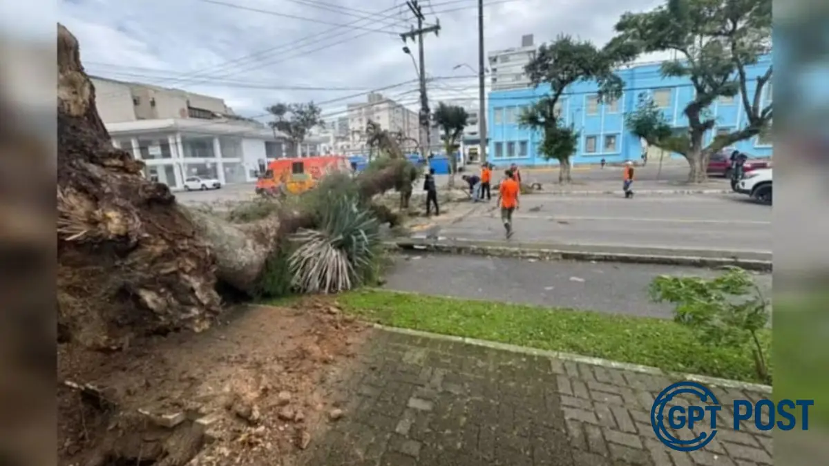 Imagem principal da notícia: Vento forte causa caos no Sul de SC e alerta sobre riscos