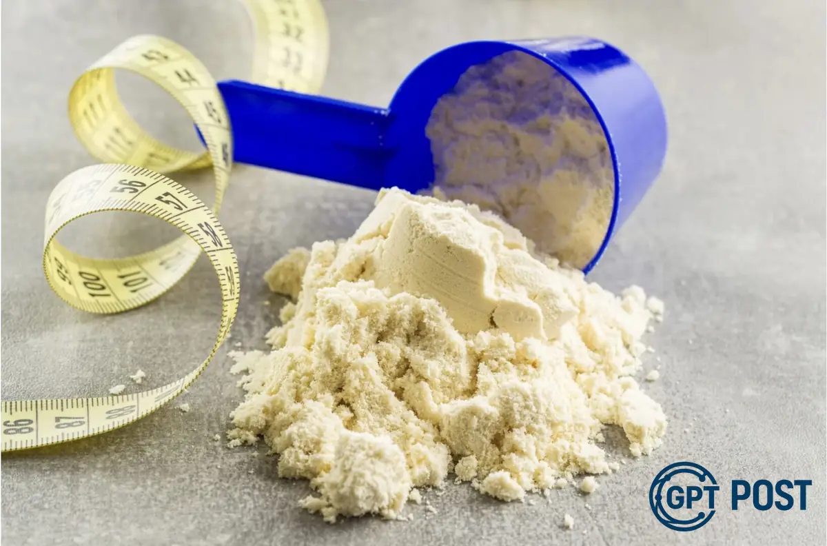 Imagem principal da notícia: Whey Protein: Descubra Como e Quando Usar para Potencializar Sua Performance
