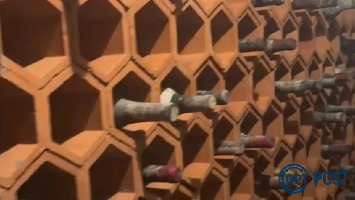 Imagem principal da notícia: Casal encontra adega secreta com vinhos de decades em casa antiga