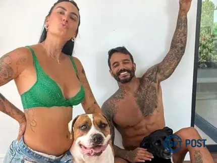 Imagem principal da notícia: Clara Maia e o dilema dos pitbulls: amor vs. responsabilidade