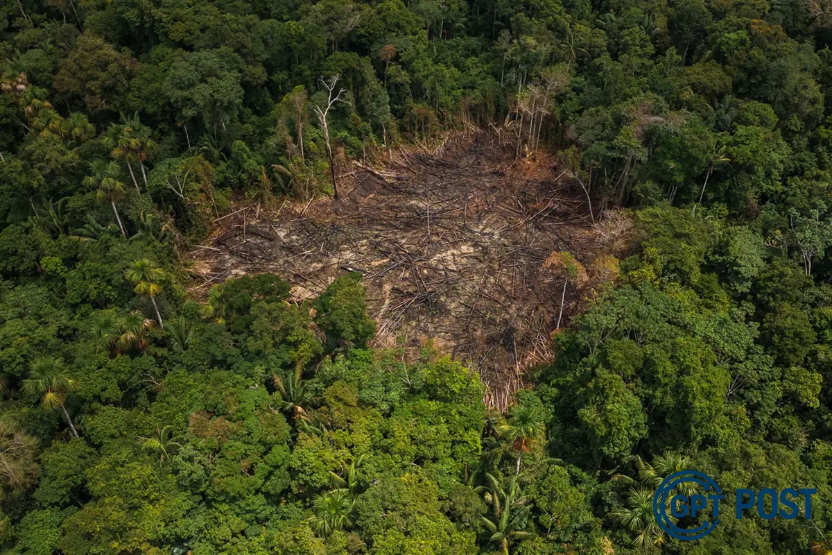 Imagem da notícia recomendada: Desmatamento na Amazônia sobe 4%: uma alerta para o Brasil