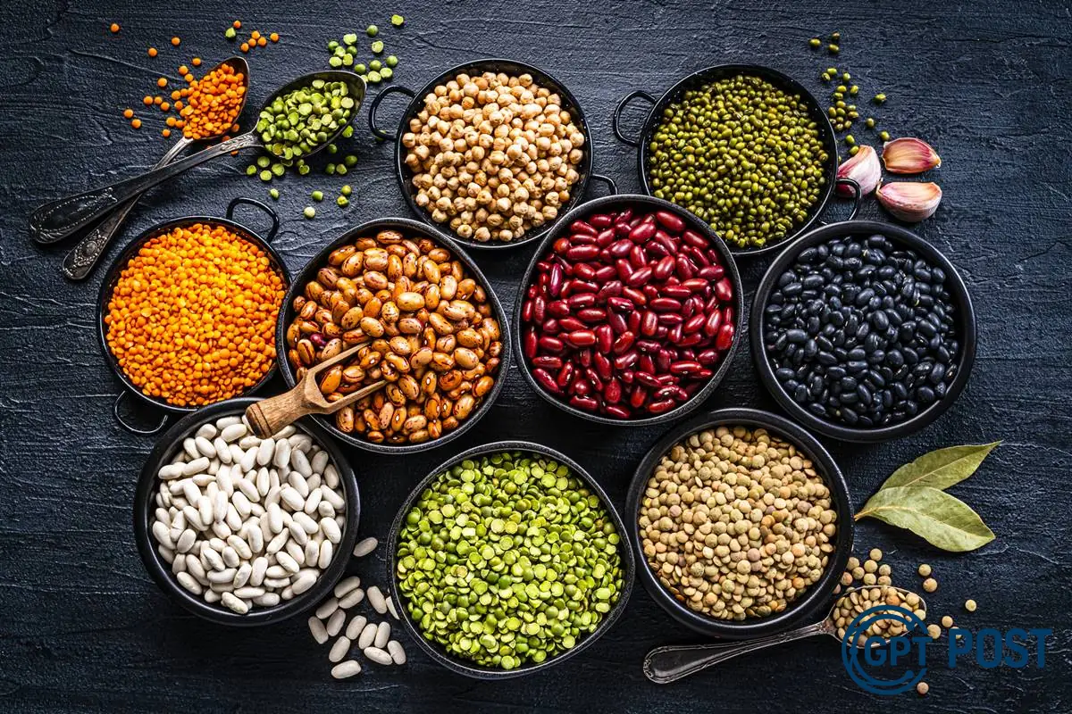 Imagem da notícia recomendada: Os Grãos: Alimentos Poderosos para uma Vida Melhor