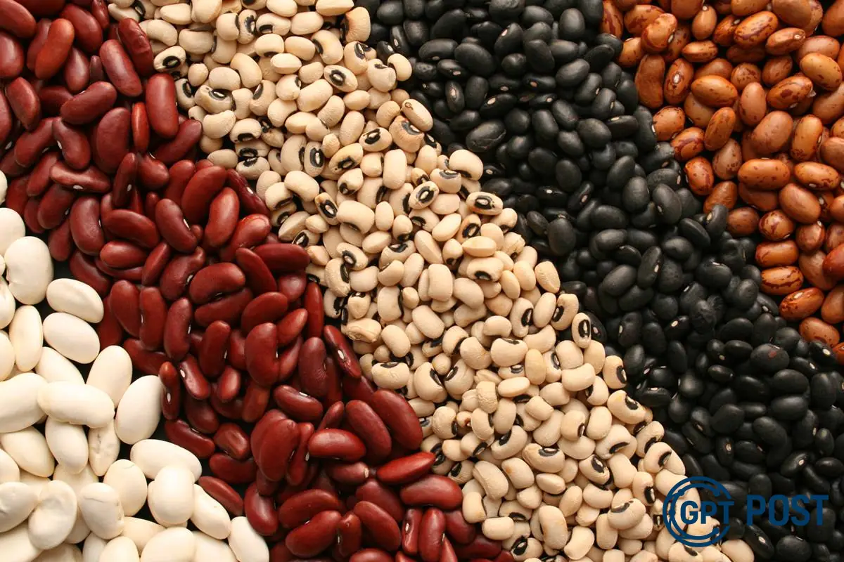 Imagem principal da notícia: Feijão: O Alimento da Cultura Brasileira