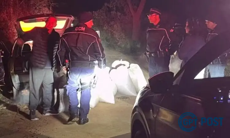 Imagem de Guardas Municipais Recuperam Carga de Café Furtada em Socorro