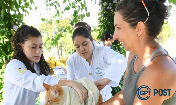 Imagem principal da notícia: Vacinação Antirrábica: Proteja Seu Pet e a Comunidade