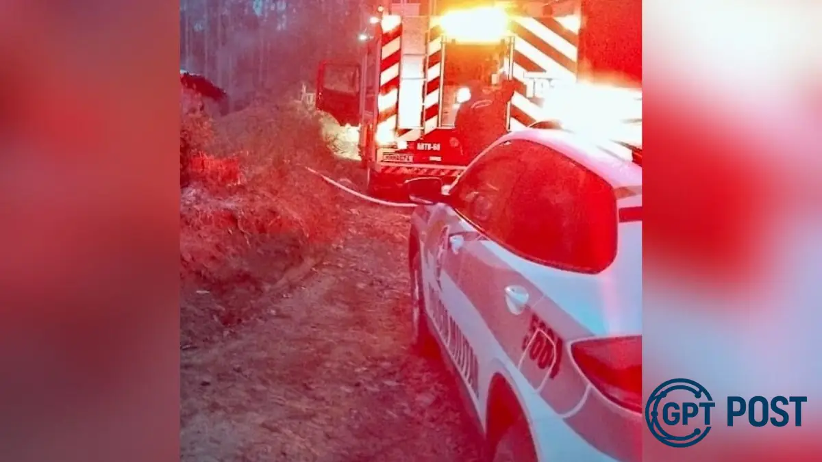 Imagem principal da notícia: Idoso confessa crime e tenta matar esposa com incêndio em Campo Alegre