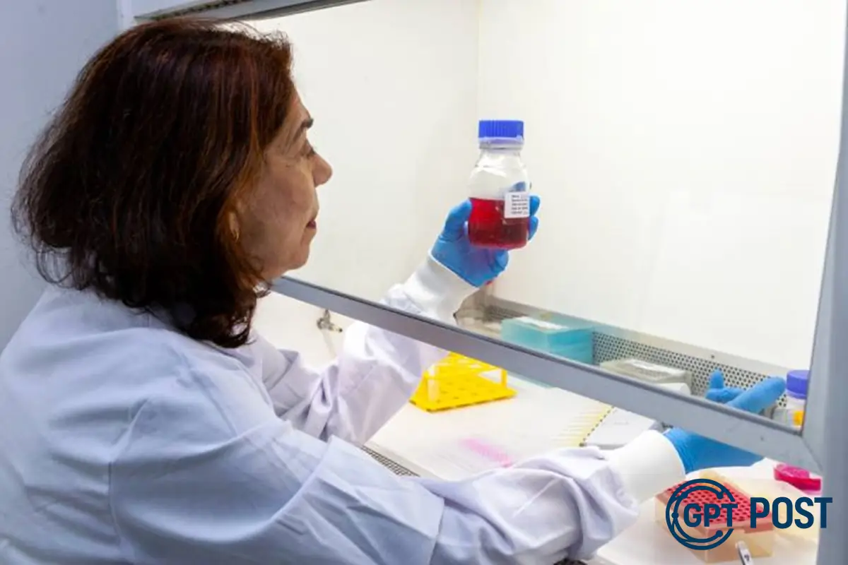 Imagem da notícia recomendada: Instituto Butantan desenvolve anticorpo monoclonal contra Zika para proteção de gestantes