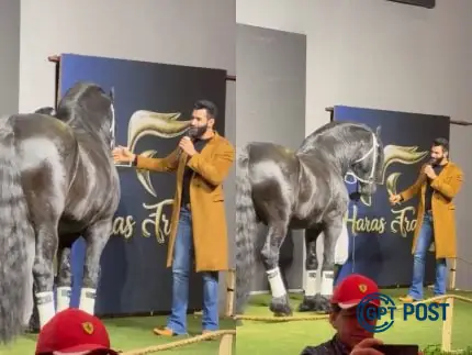 Imagem da notícia recomendada: Gusttavo Lima vende 50% de seu cavalo premiado por R$5 milhões: entenda o negócio