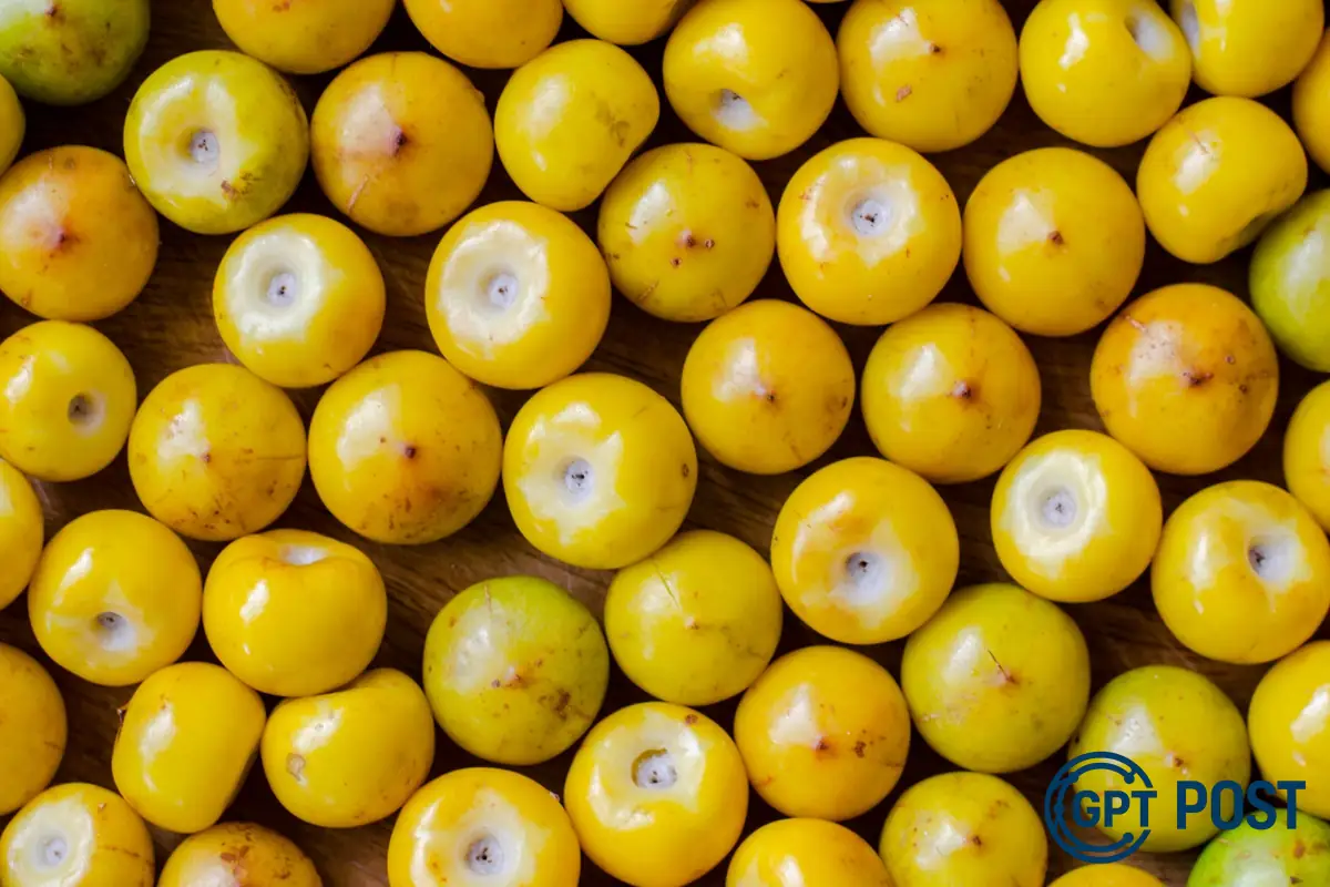Imagem da notícia recomendada: Murici: A Fruta Doce Que É Uma verdadeira Sede de nutrientes