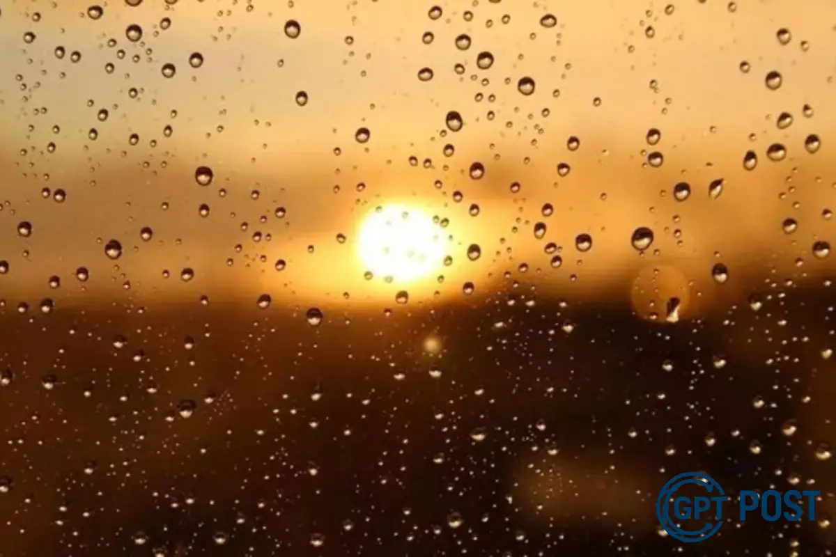 Imagem de Calor intenso e chuvas isoladas: como o clima divide o Brasil nesta sexta-feira