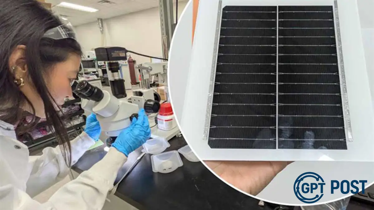 Imagem da notícia recomendada: Painéis solares reciclados alcançam desempenho igual ao novo