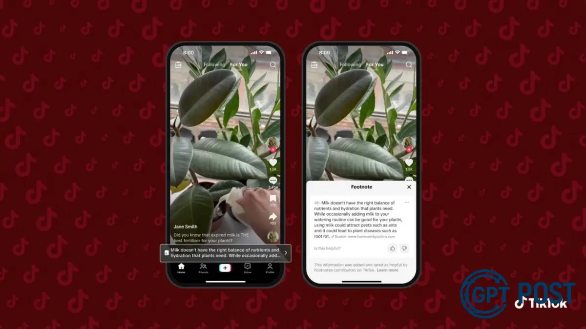 Imagem principal da notícia: TikTok lança recurso de checagem de fatos colaborativa: o que você precisa saber