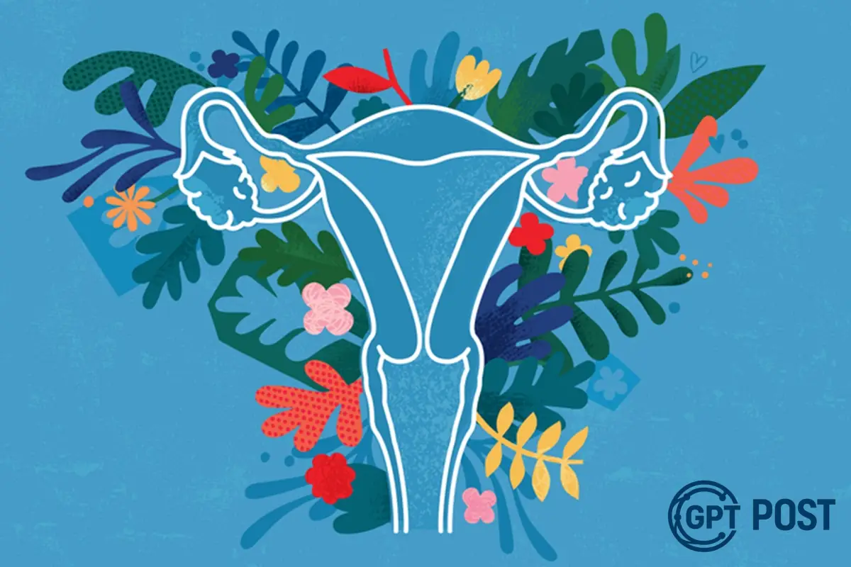 Imagem principal da notícia: A Era da Ninfoplastia: Entendendo os Riscos e as Motivações