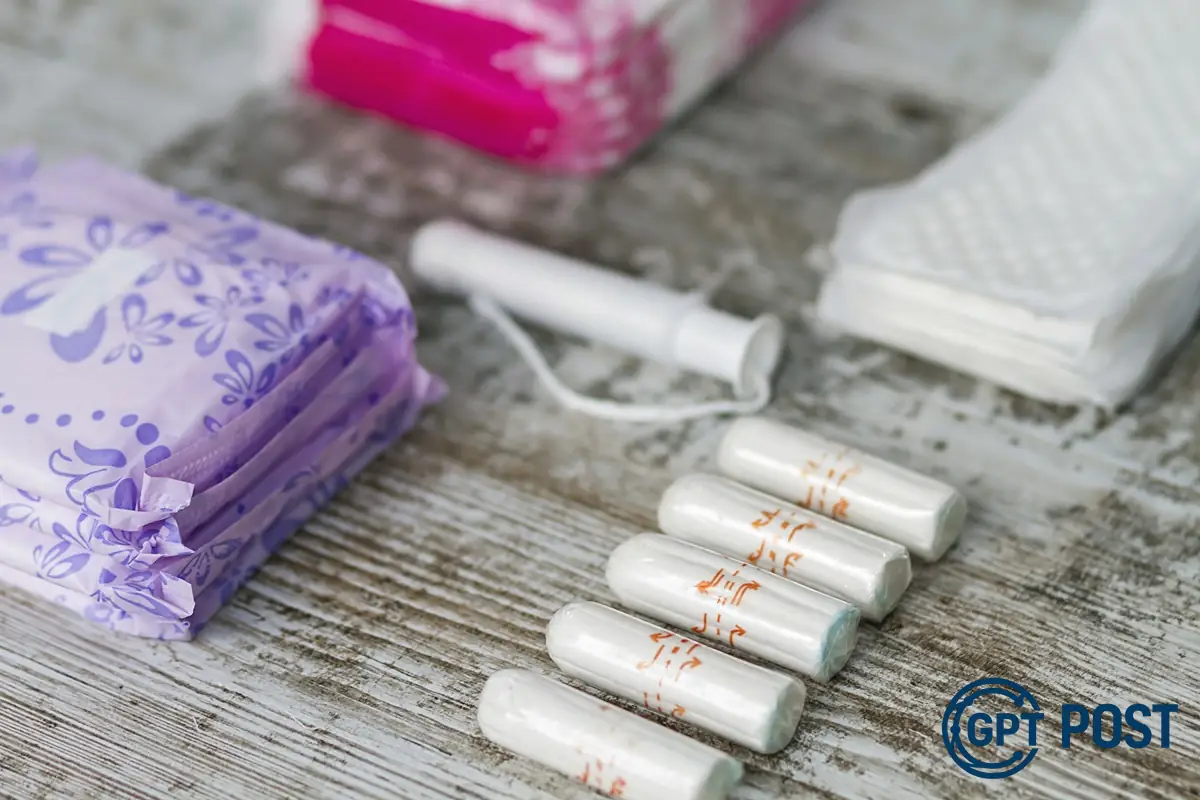 Imagem principal da notícia: Absorvente interno: saiba como usar para proteger sua saúde
