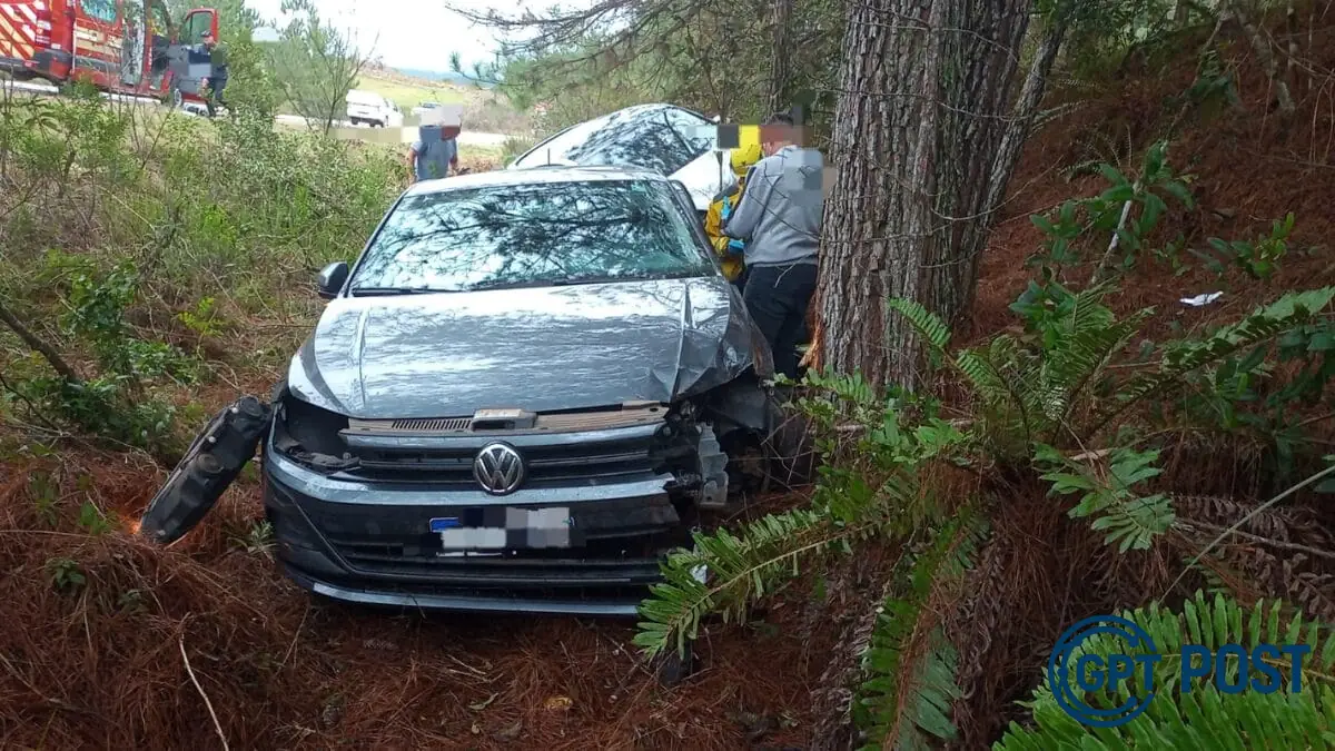 Imagem principal da notícia: Tragédia na BR-282: Mulher morre em acidente ao tentar fazer conversão