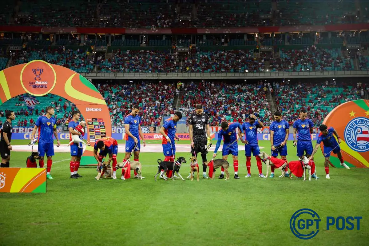 Imagem principal da notícia: Bahia e os Cachorros da Copa: Ação Social no Campo