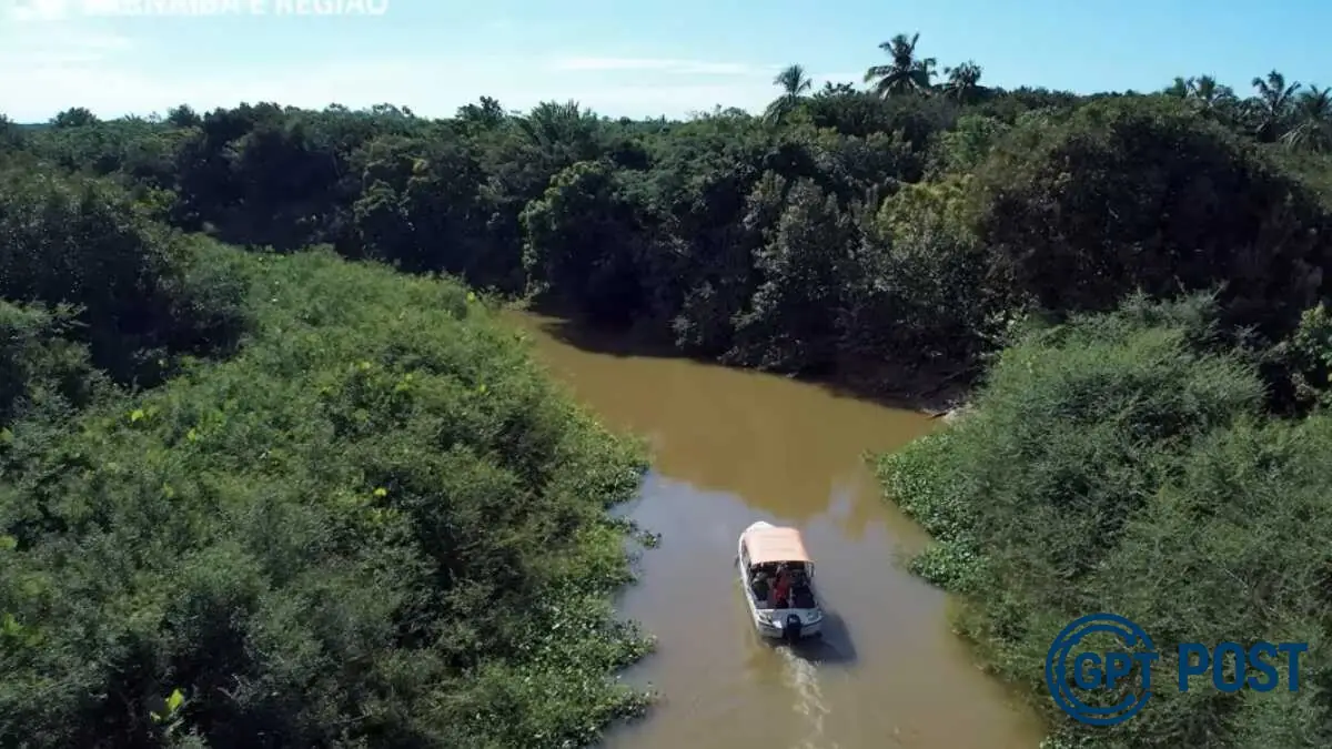 Imagem principal da notícia: Descubra Parnaíba: O maior delta fluvial das Américas no Nordeste brasileiro