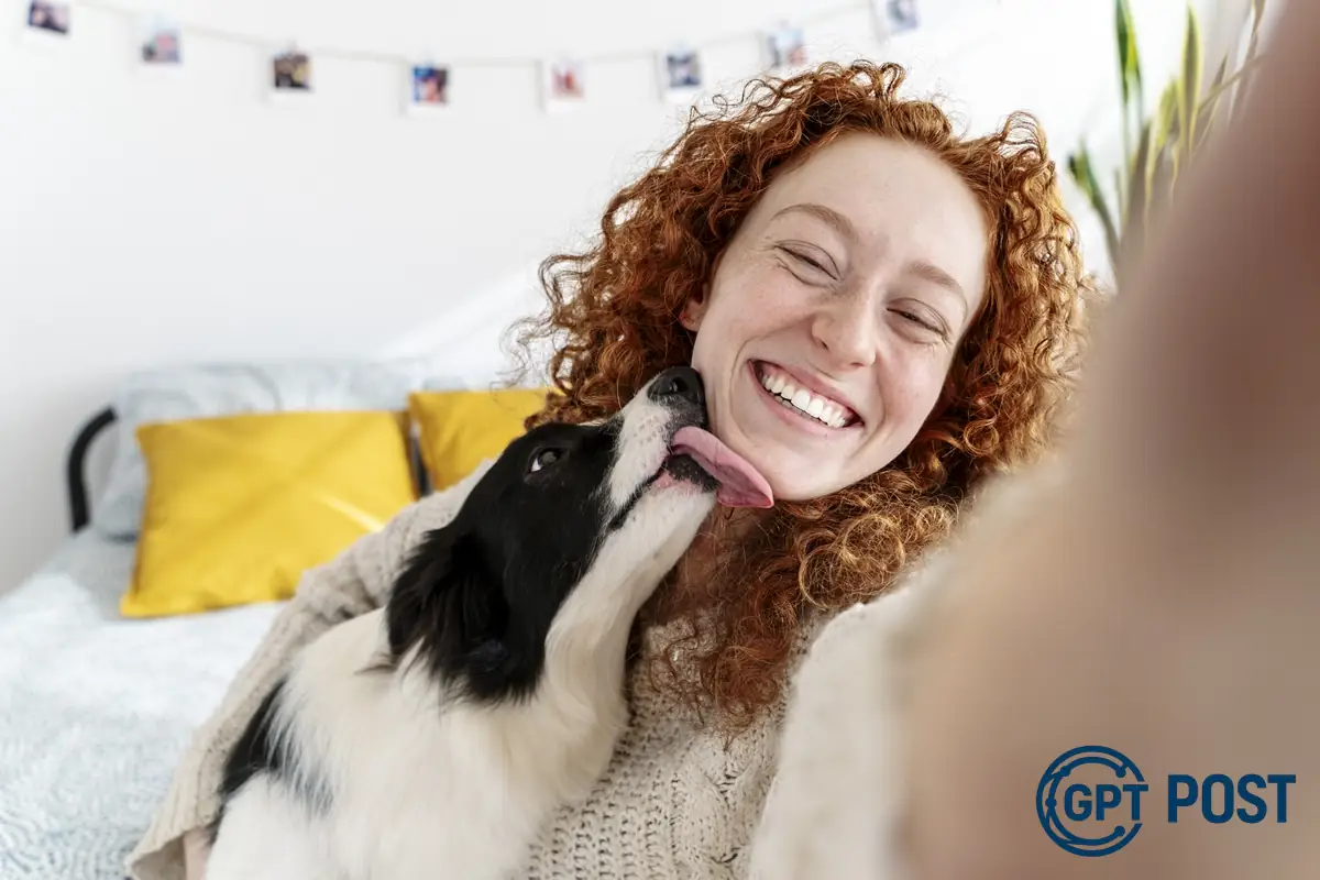 Imagem da notícia recomendada: Como os cachorros ajudam no controle do estresse: Descobertas revolucionárias
