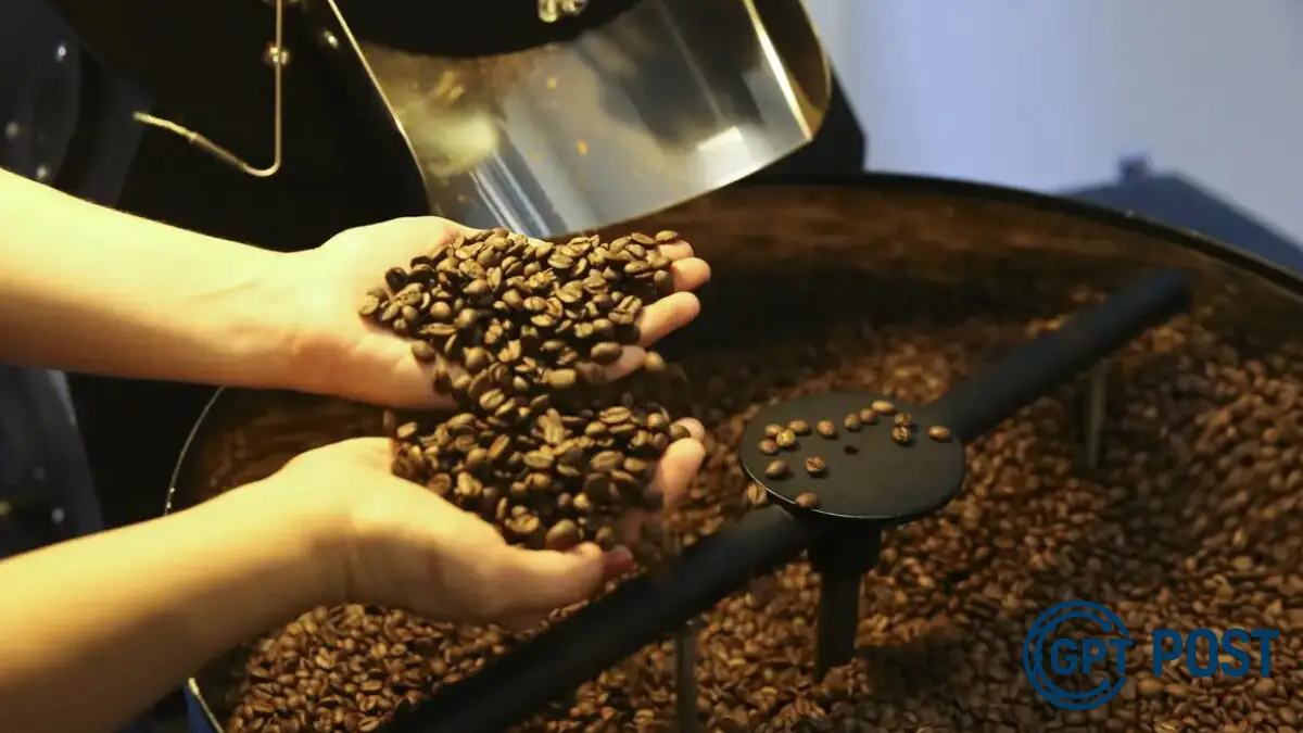 Imagem de Café brasileiro: Primeira queda nos preços após 18 altas consecutivas