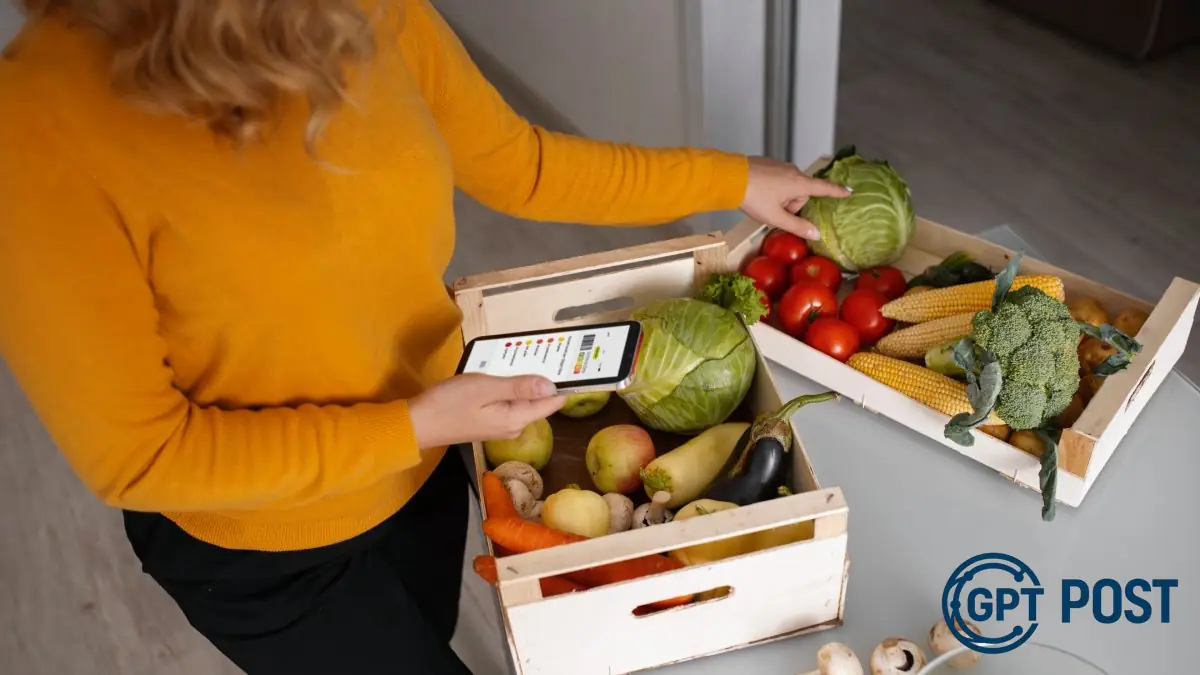 Imagem de Organize sua geladeira e mantenha os alimentos mais tempo: descubra como evitar o desperdício