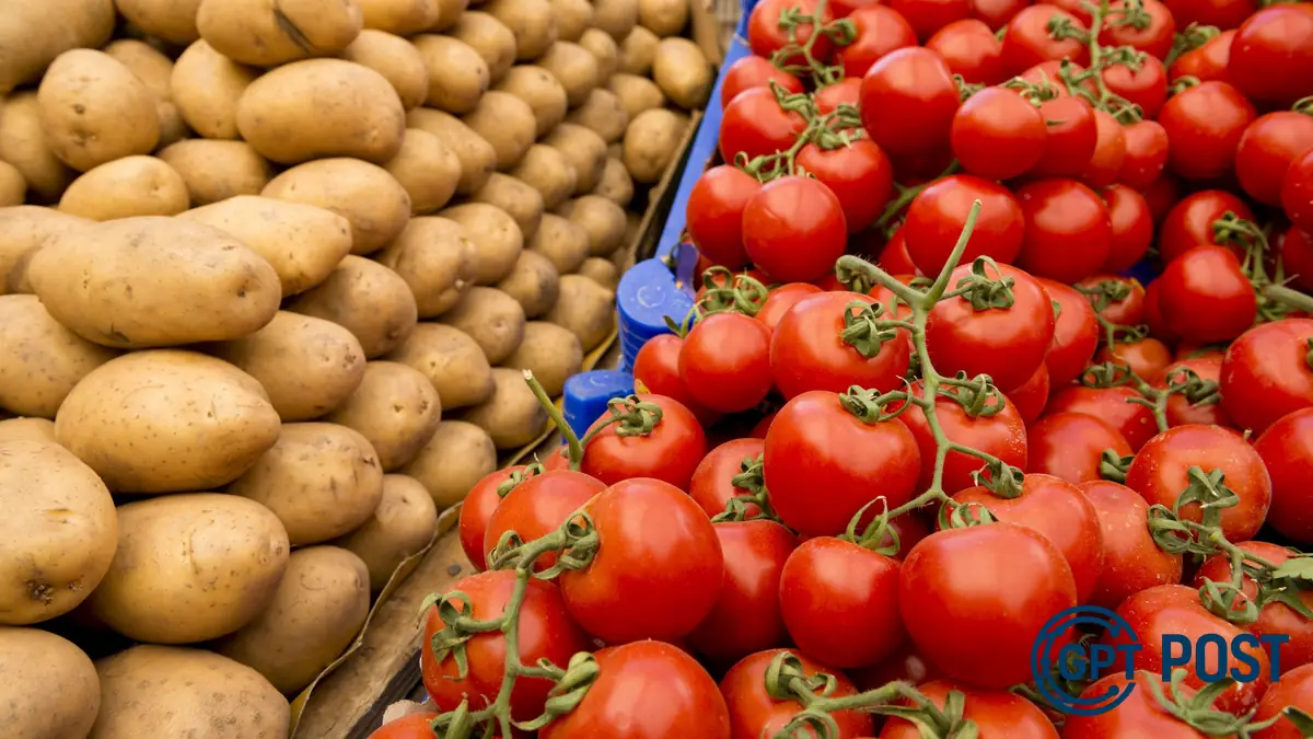Imagem principal da notícia: A incrível origem da batata: como a mistura aleatória entre um tomate selvagem e outro planta gerou um dos nossos carboidratos favoritos há 9 milhões de anos