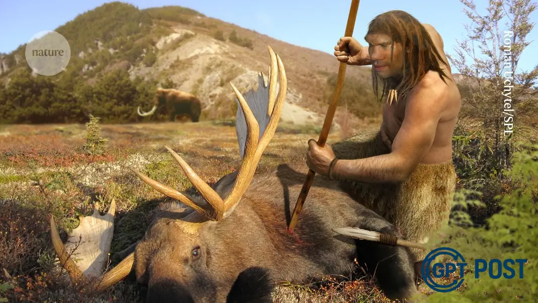Imagem principal da notícia: Neandertais pode ter se deliciado com migalhas de carne - Uma nova visão sobre sua dieta