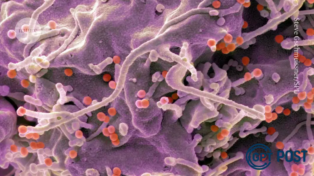 Imagem de Uma nova esperança contra o HIV: vacinas mRNA mostram resultados promissores