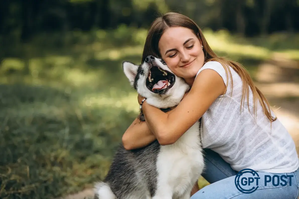 Imagem principal da notícia: Encontre Seu Pet: A Nova Ferramenta da RPC para Reunir Pets Perdidos