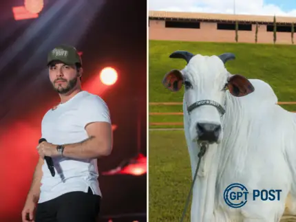 Imagem da notícia recomendada: Murilo Huff investe no agro e se torna sócio de vaca avaliada em R$ 17 milhões