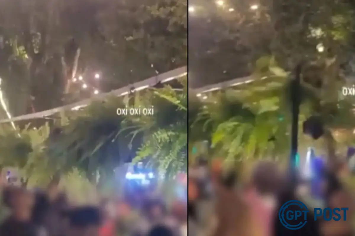 Imagem principal da notícia: O Público Apreende 500 Samambaias e Causa Prejuízo de R$7 Mil no Festival