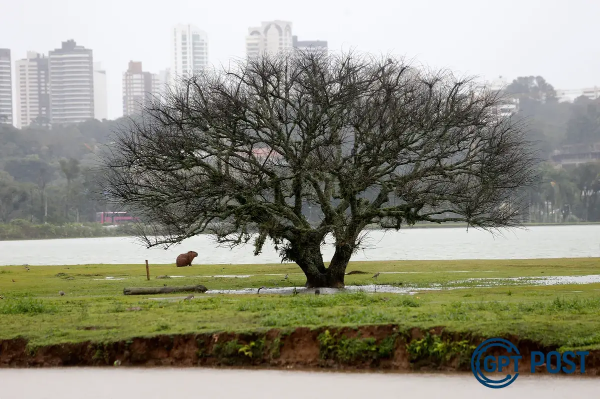 Imagem da notícia recomendada: Geada e frio extremo marcam o Dia dos Pais em Curitiba