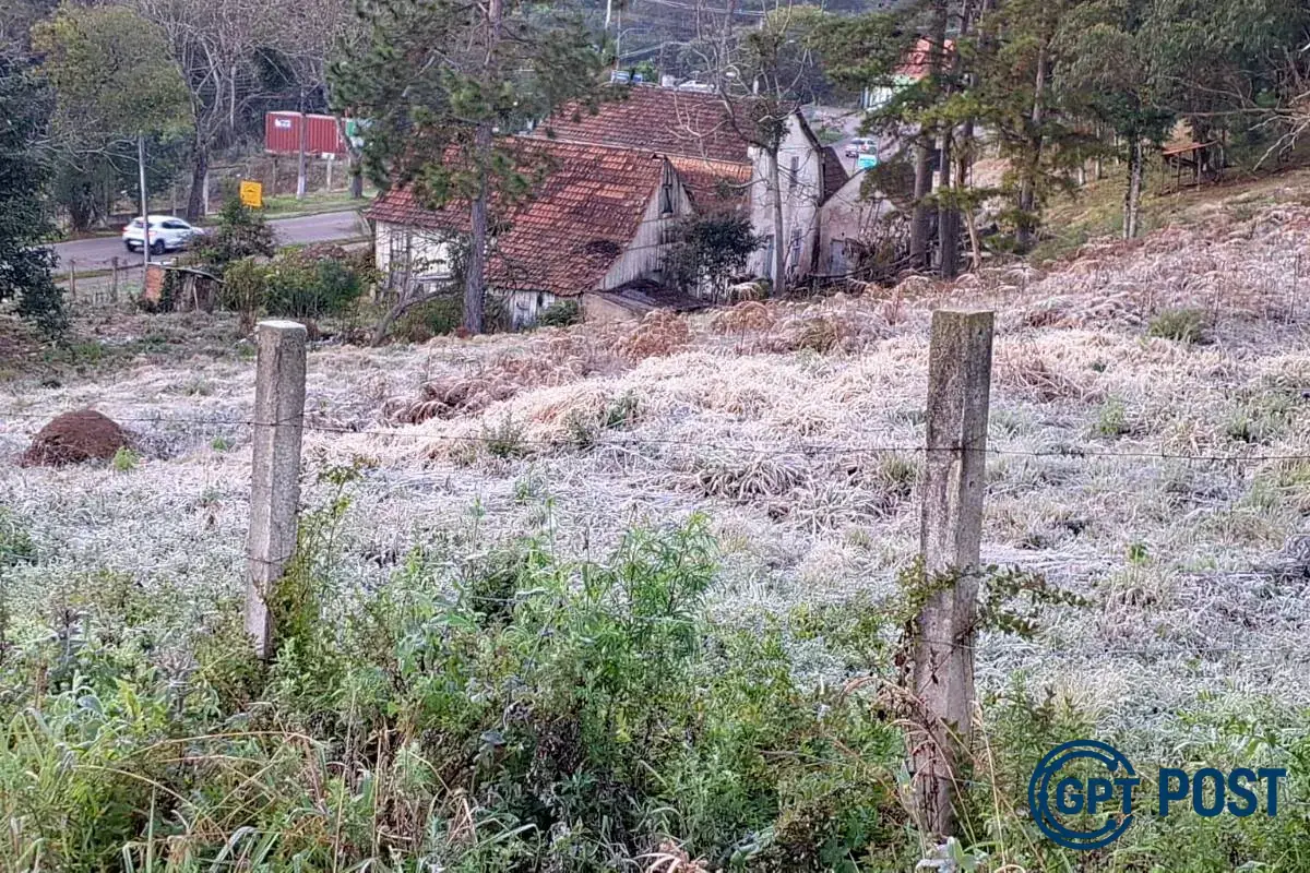 Imagem principal da notícia: Geada em Curitiba: A cidade que amanhece branca e gelada