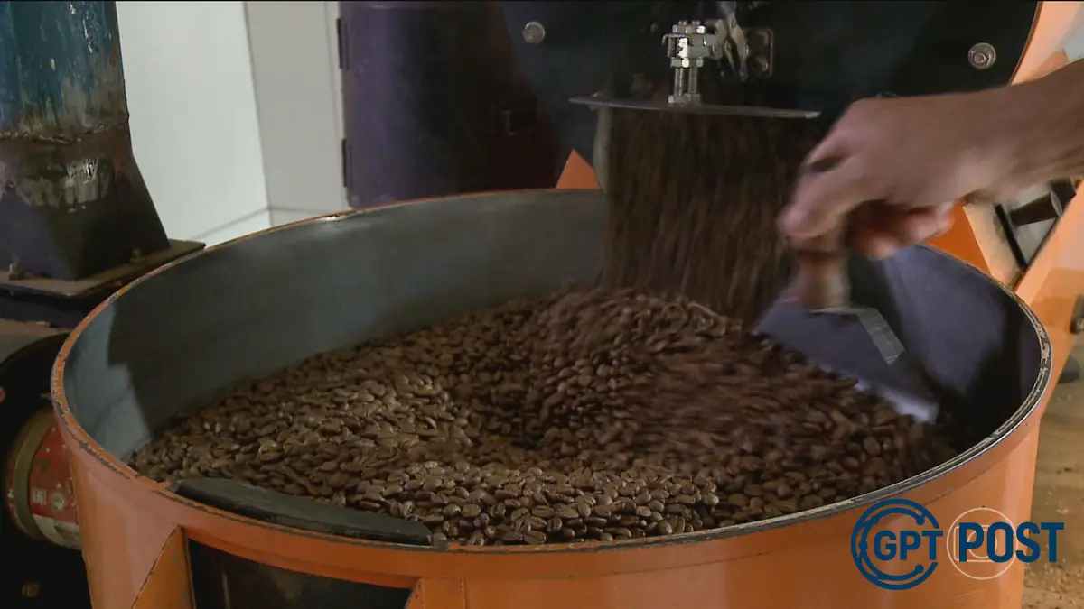 Imagem da notícia recomendada: Café e celulose do Brasil: como resistir ao tarifaço dos EUA