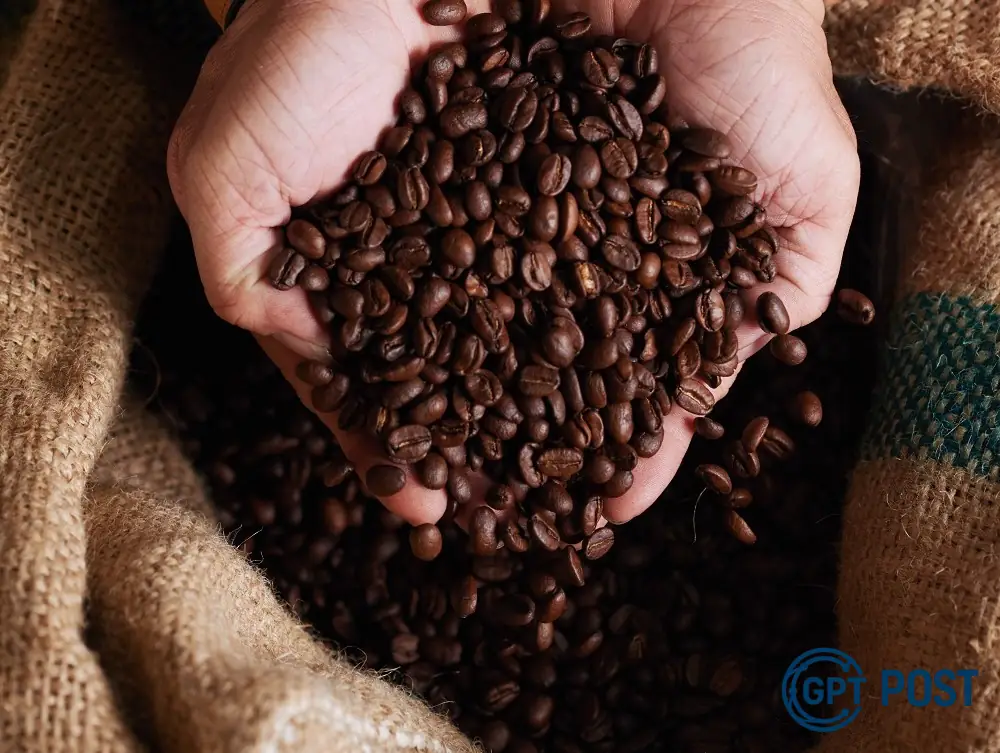 Imagem da notícia recomendada: Café brasileiro enfrenta desafio histórico nos EUA: entidades buscam reverter tarifa de 50%