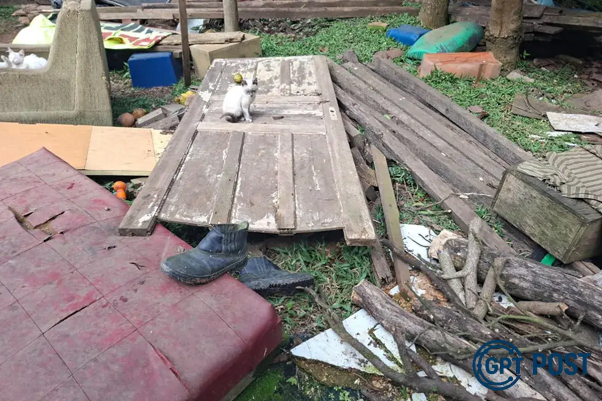 Imagem de Idoso de 93 anos é resgatado de condições terríveis em Curitiba