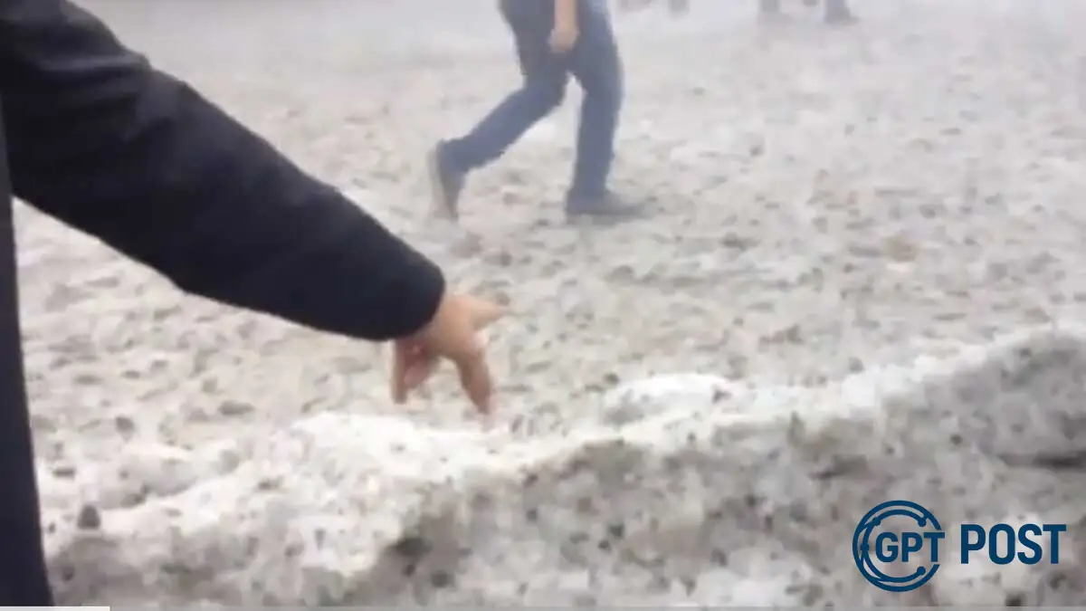 Imagem principal da notícia: Gelo inesperado na Aclimação: Uma nevada que virou pedras de gelo