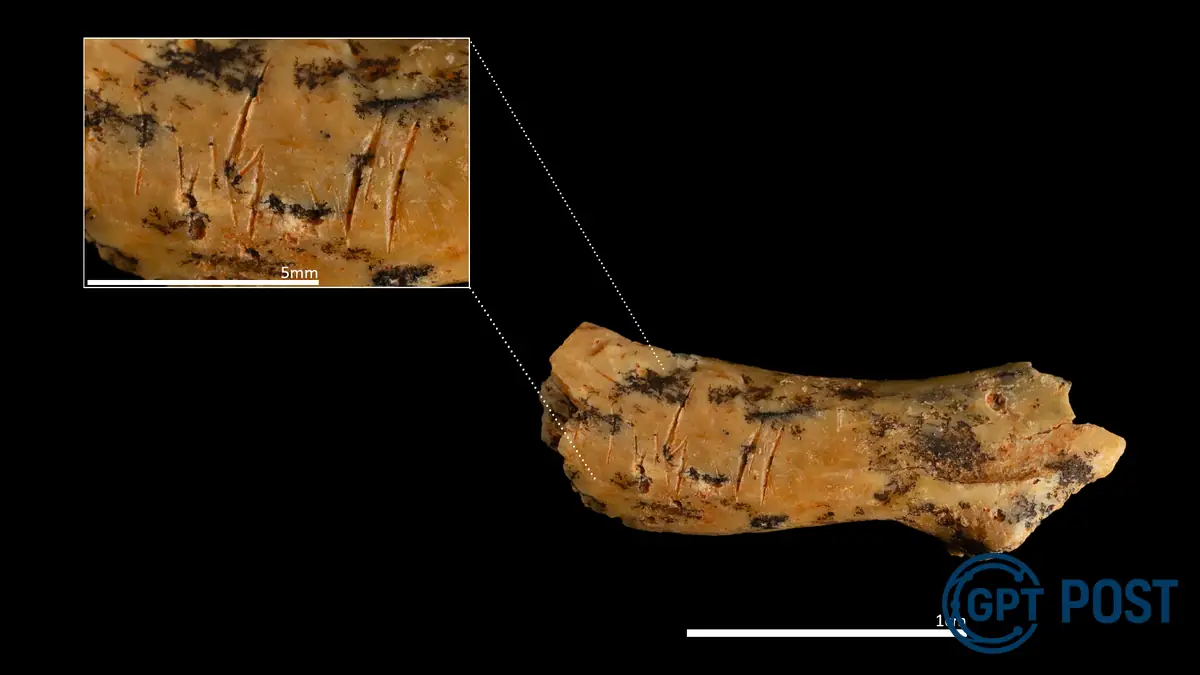 Imagem principal da notícia: O Mistério da Criança Cannibal: Descoberta Arrepiante na Espanha
