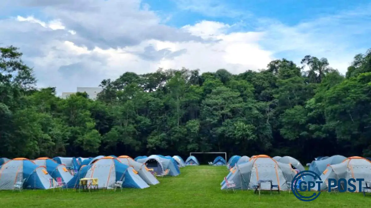 Imagem principal da notícia: Acampamento Noturno no Zoológico de SP: Aventuras Só Para Gente Animada