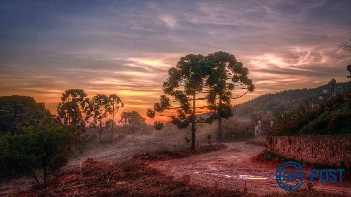 Imagem principal da notícia: Monte Verde: Descubra a Suíça de Minas que Encanta Brasileiros e Turistas do Mundo todo