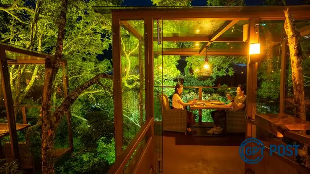 Imagem da notícia recomendada: Jantar Suspendedo no Céu: Uma Experiência Culinária Única na Costa Rica
