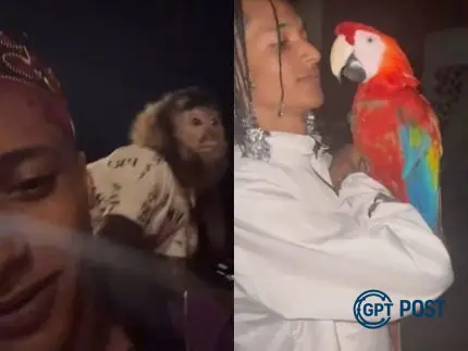 Imagem principal da notícia: Oruam acumula R$405 mil em multas do Ibama: Cantor é flagrado com animais silvestres