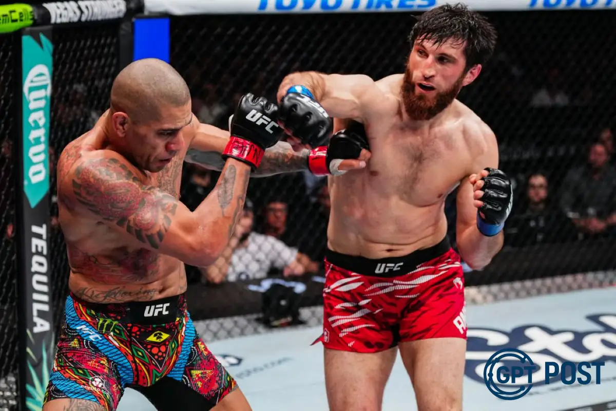 Imagem principal da notícia: UFC 320: Revanche Aguardada entre Alex Poatan e Magomed Ankalaev