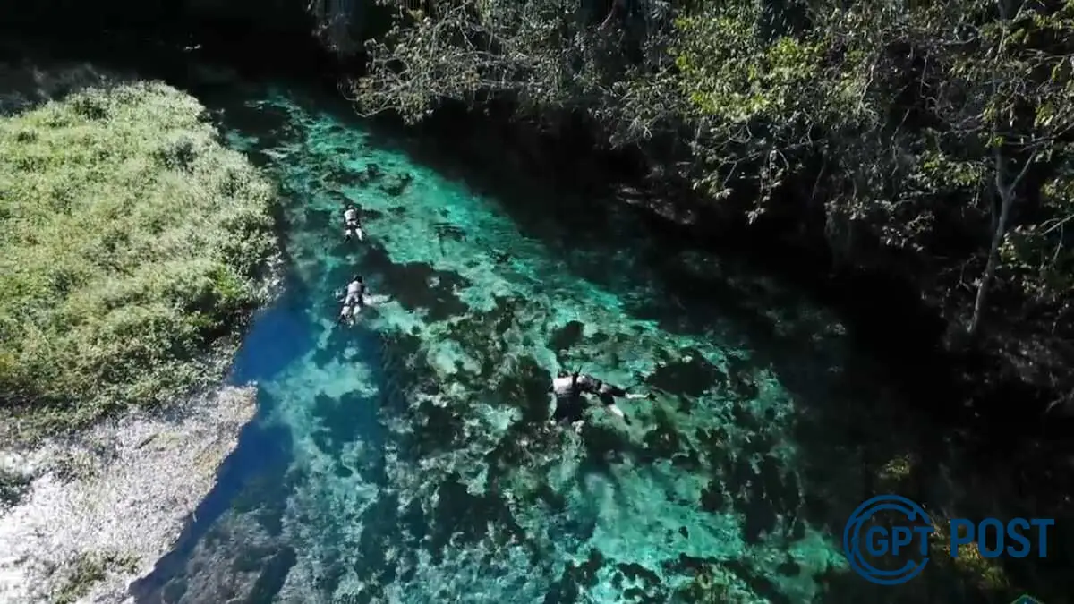 Imagem principal da notícia: Descubra por que o Rio Sucuri é um dos destinos mais encantadores de Bonito